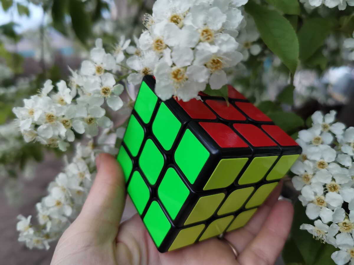 Учителей инвестирования в стране стало как собак нерезанных. Про армии желающих получать пассивные доходы я вообще молчу.