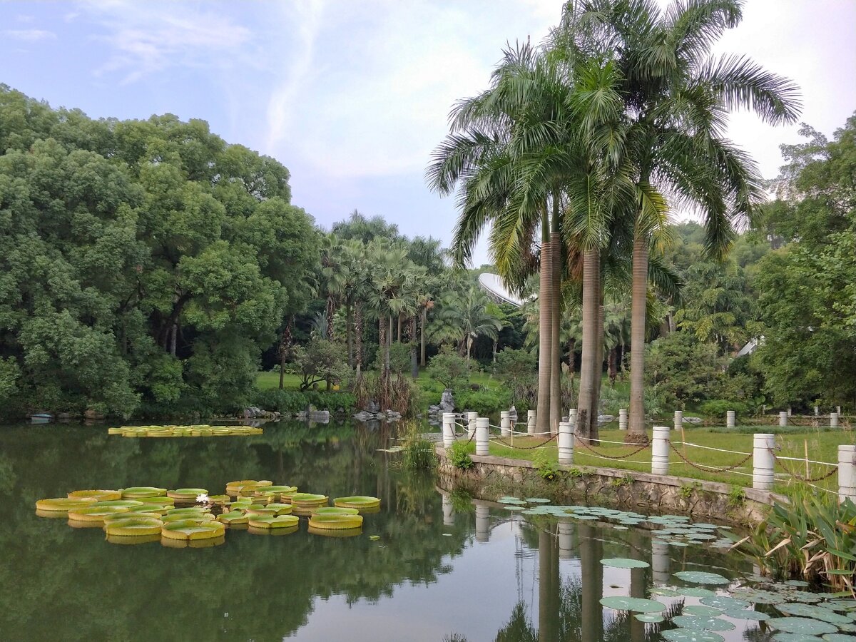 Народный парк