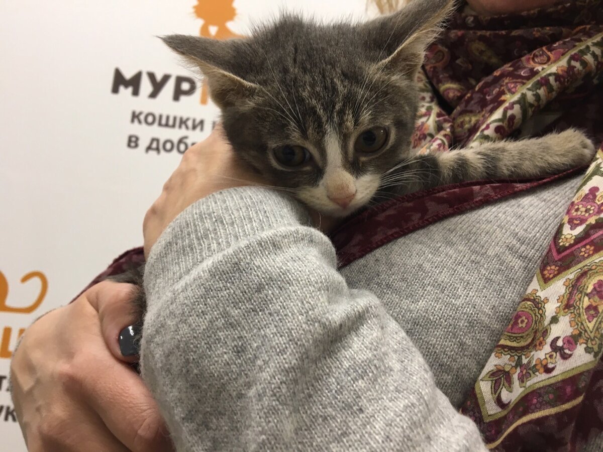 «Это я такой маленький был 😼?»