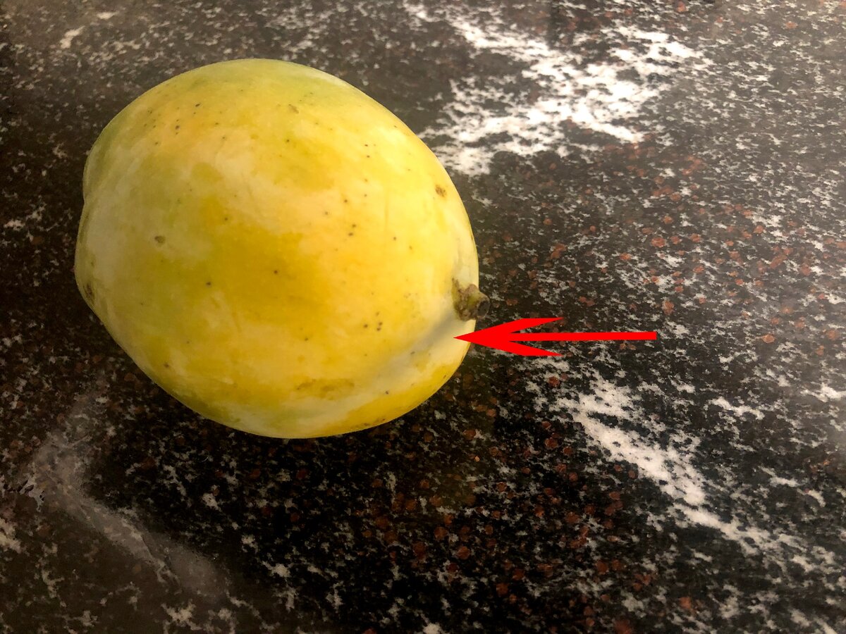 Как разрезать манго: находим опознавательные знаки местоположения косточки