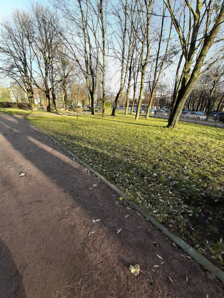 И пусть даже это прогулка в городском парке. И вообще отлично, если светит солнце - есть возможность дополучить витамин Д