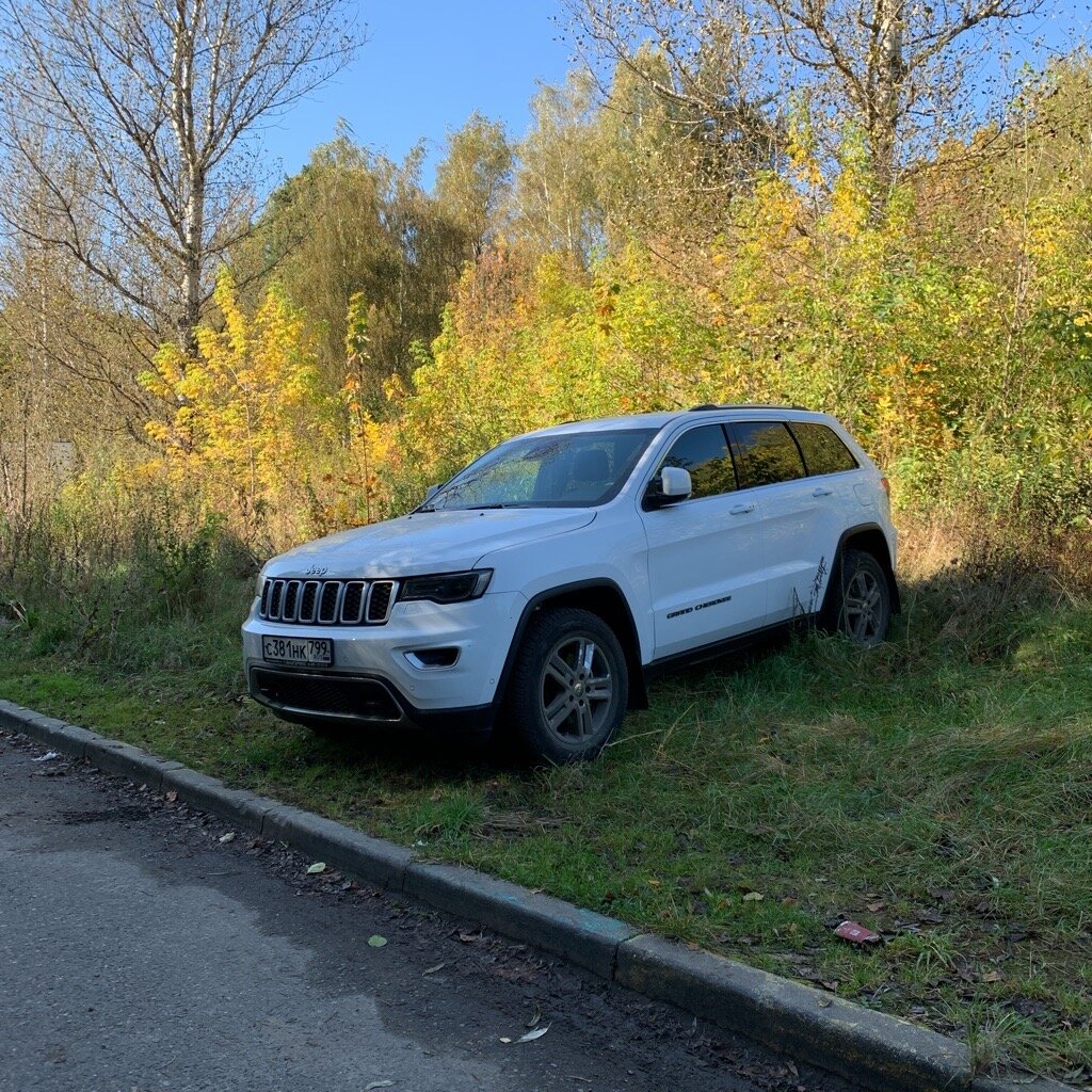 Неужели водитель не знал, что паркуется на газоне? Да знал конечно.