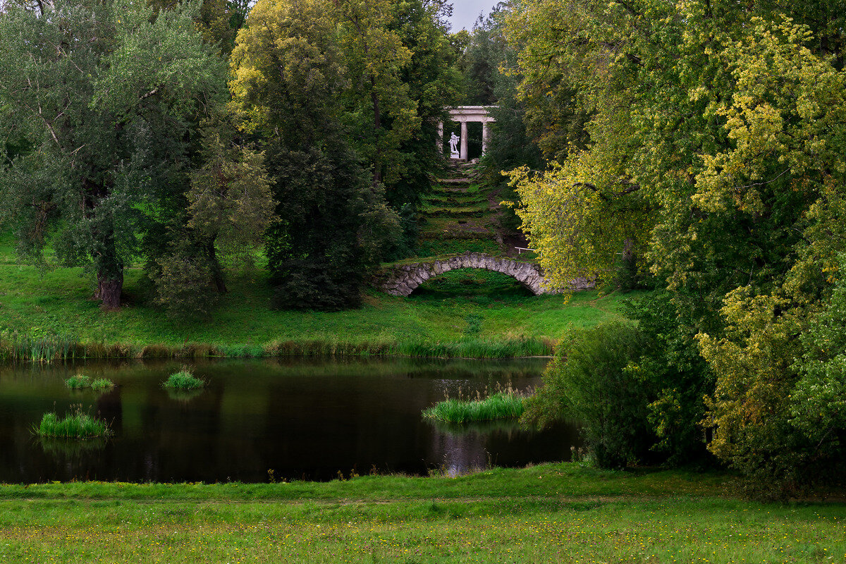 Павловск летом фото