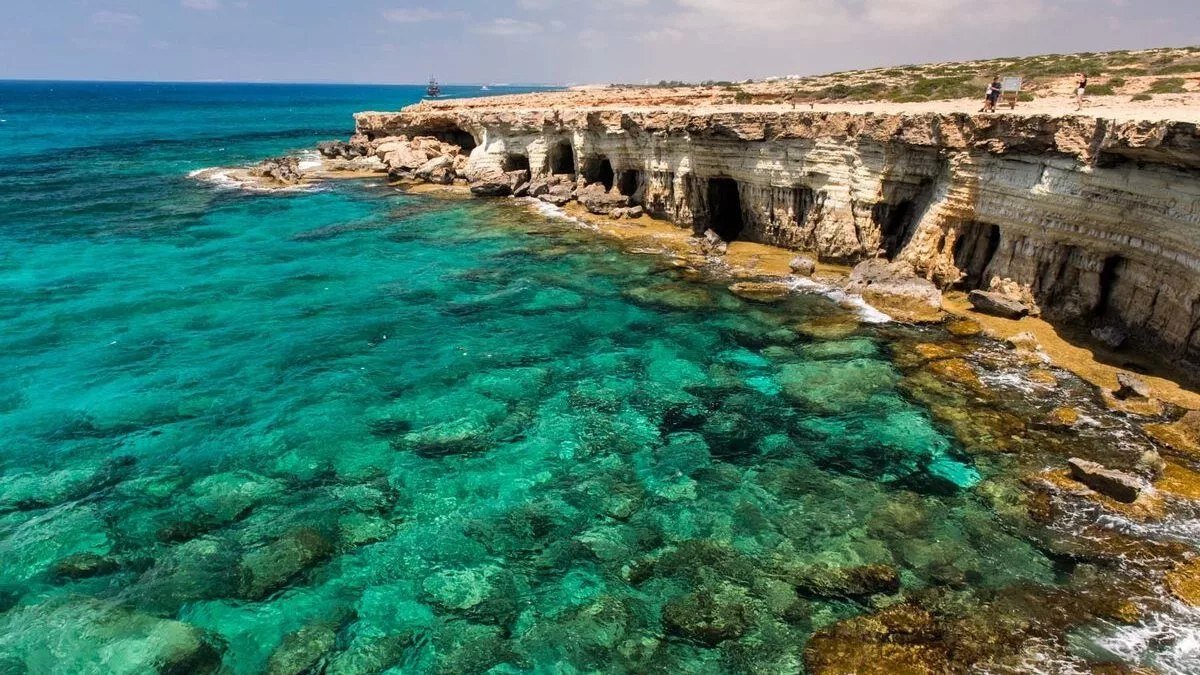 260 видов рыб обитают в тёплых водах Средиземного моря возле Кипра.