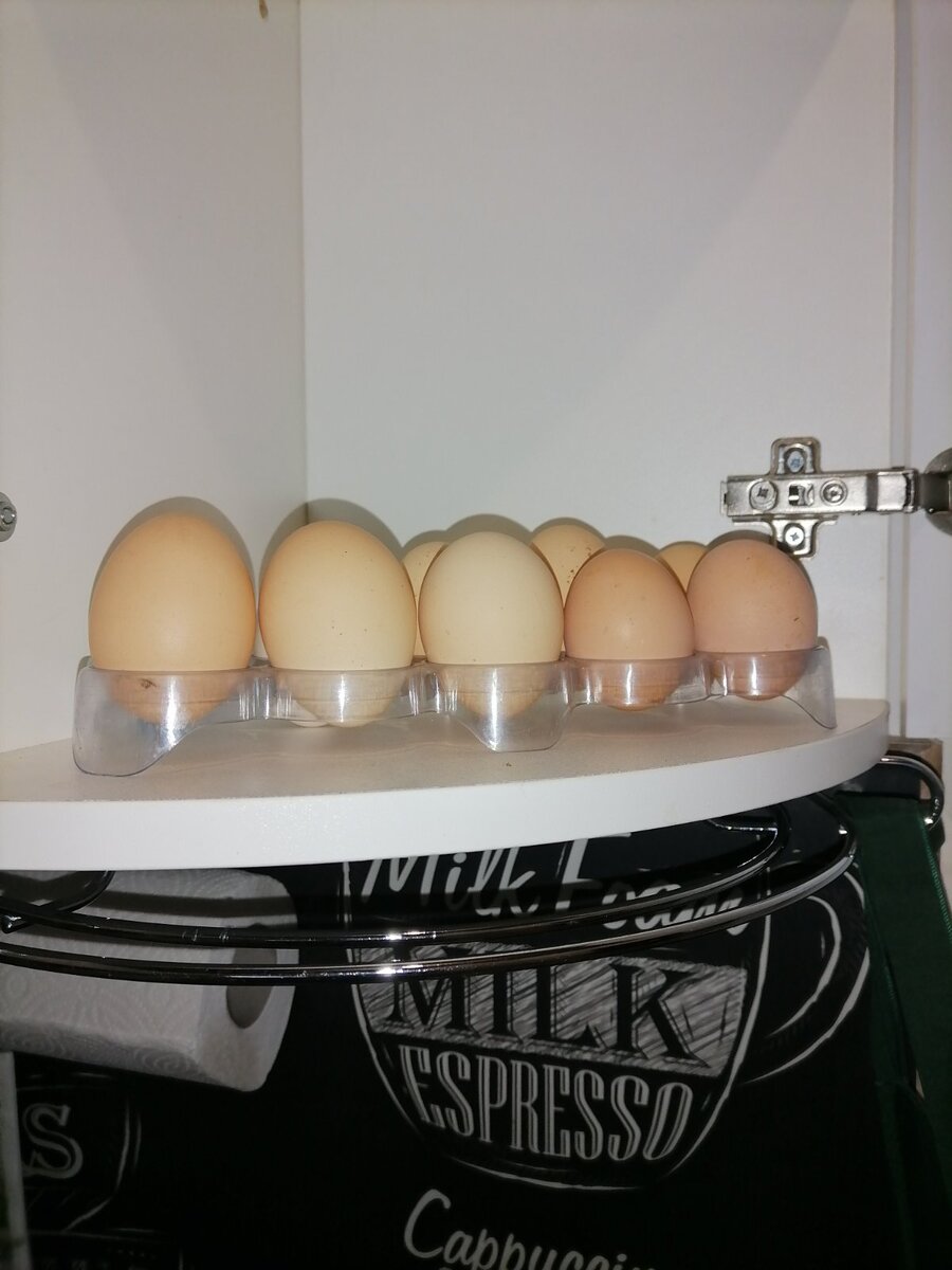 Хранить яйца в холодильнике - пережиток прошлого. Расскажу, как надо и почему