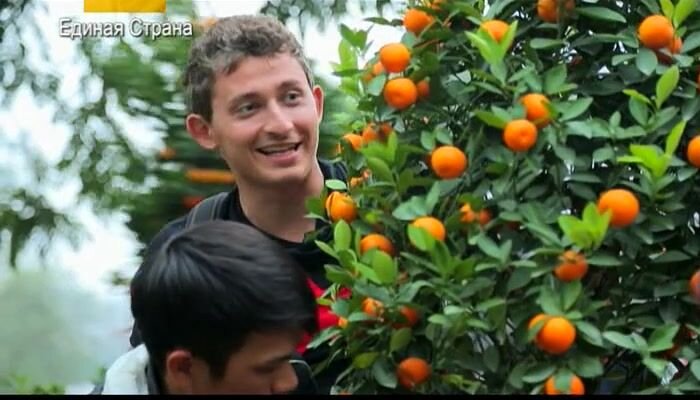 Вместо ёлки