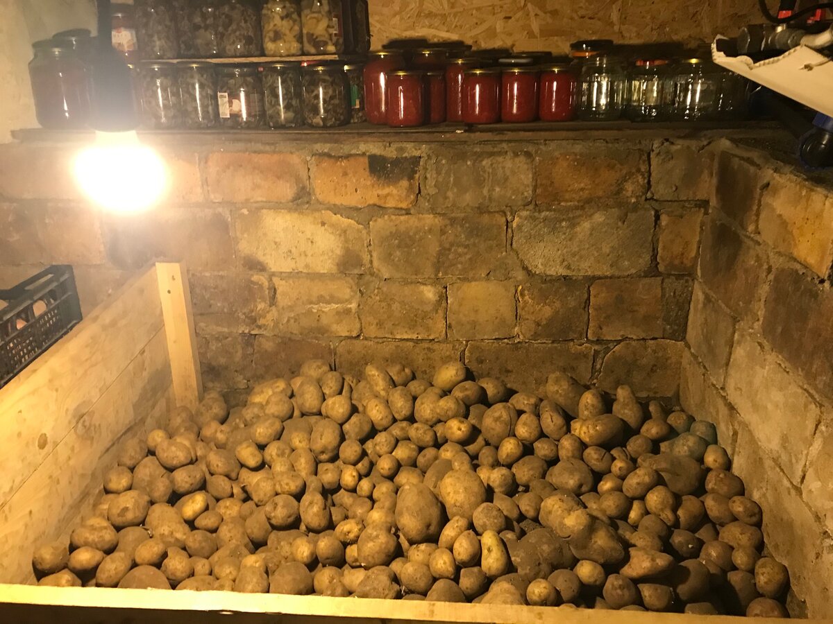А как же своя картошечка зимой?