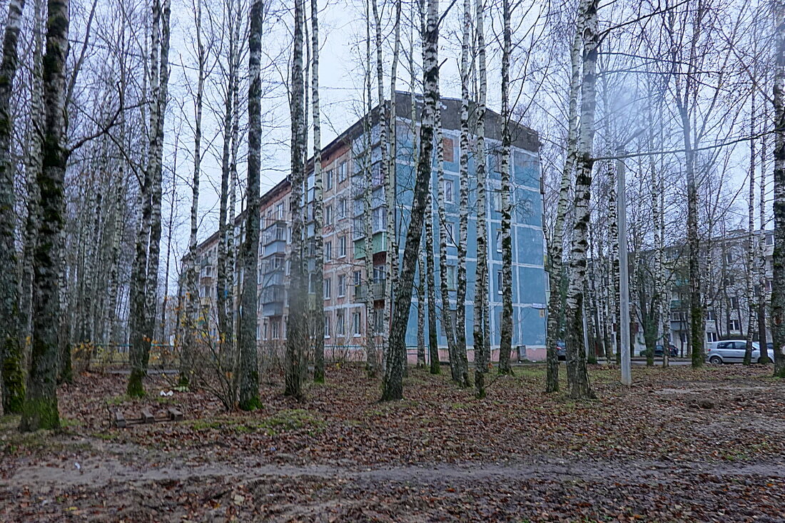 В подмосковном поселке установлены четыре памятника: Ленину, Гоголю, Блоку  и неизвестной мне личности | Записки о Москве | Дзен