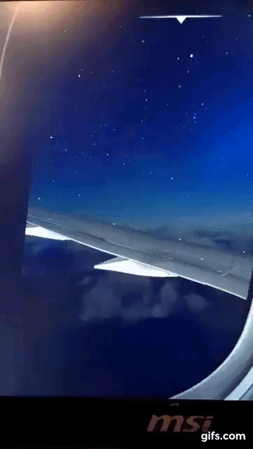 (с)твиттер Рами Исмаила