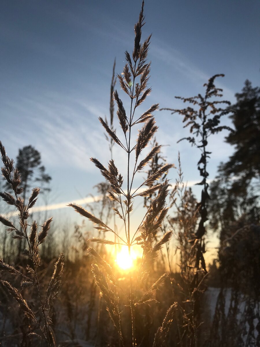 Тёплый и одновременно холодный зимний закат