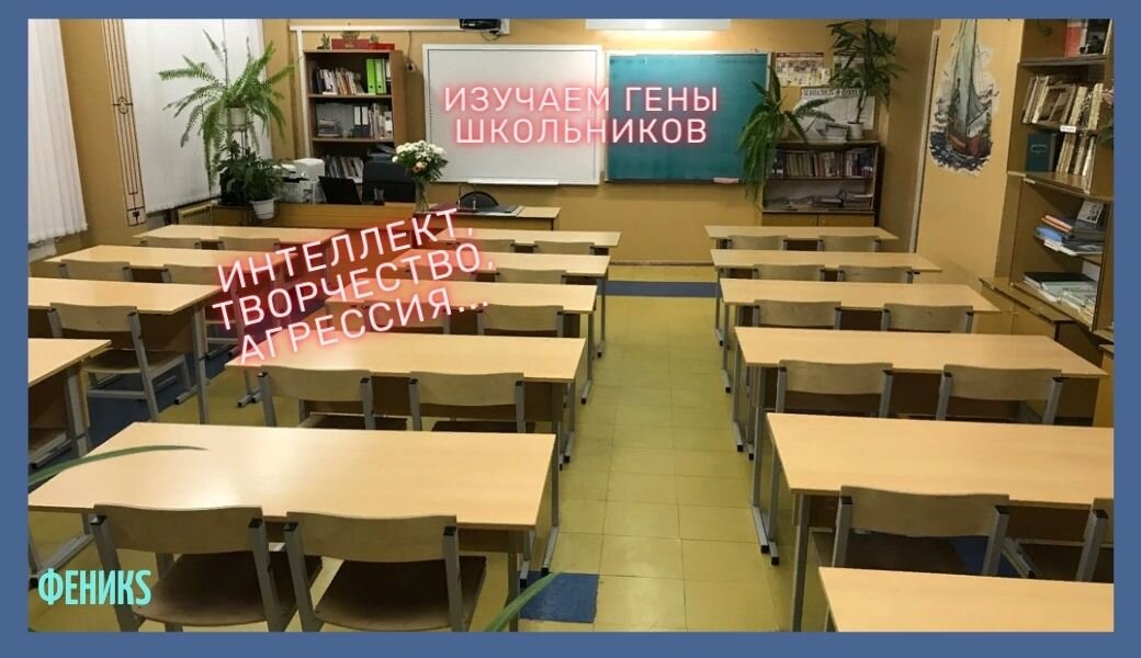 Коллаж Яндекс картинки