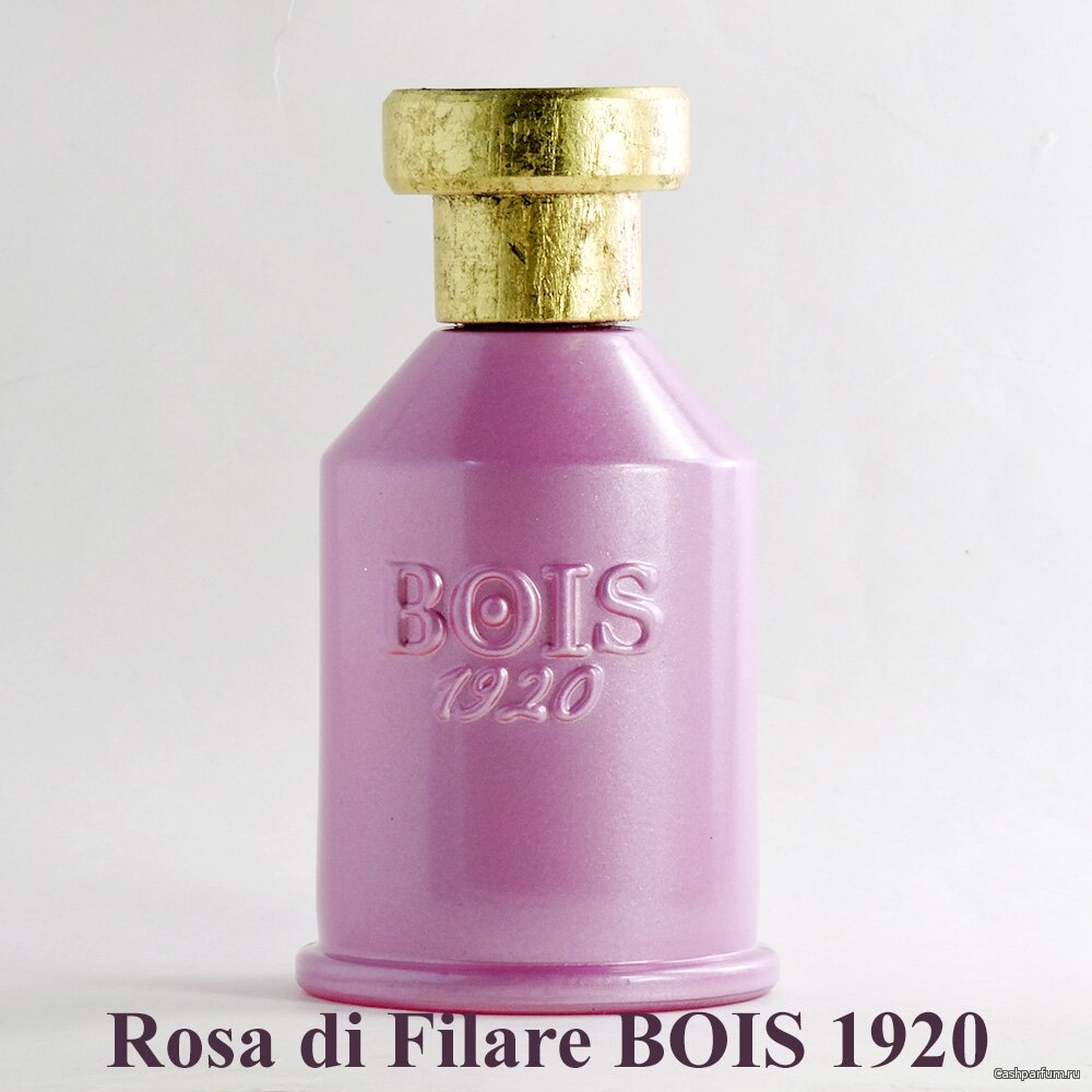 Rosa di Filare BOIS 1920