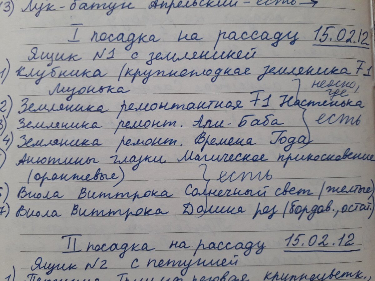 В 2012 году у меня был лучший опыт посева ремантантной земляники. Вспоминаю его, чтобы использовать. Фото автора.