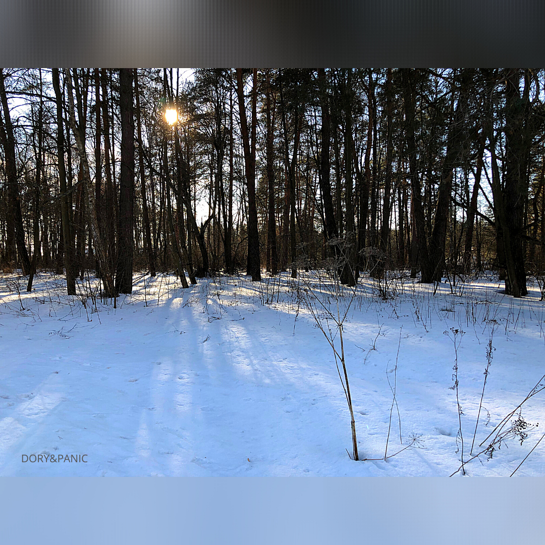 Личные фотофайлы. Инстаграм dory_panic