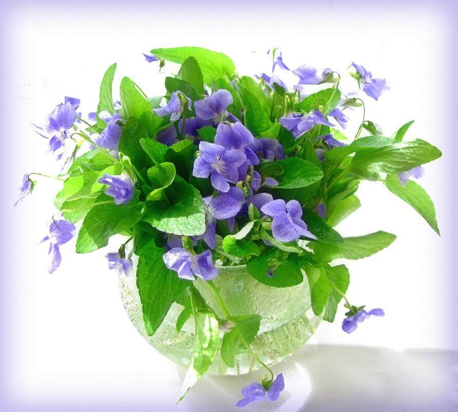 Татьяна Бор, Россия. Екатеринбург