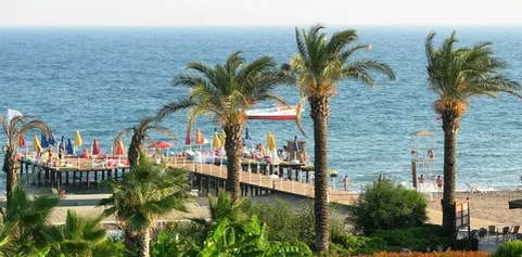 Фото взято из открытого источника