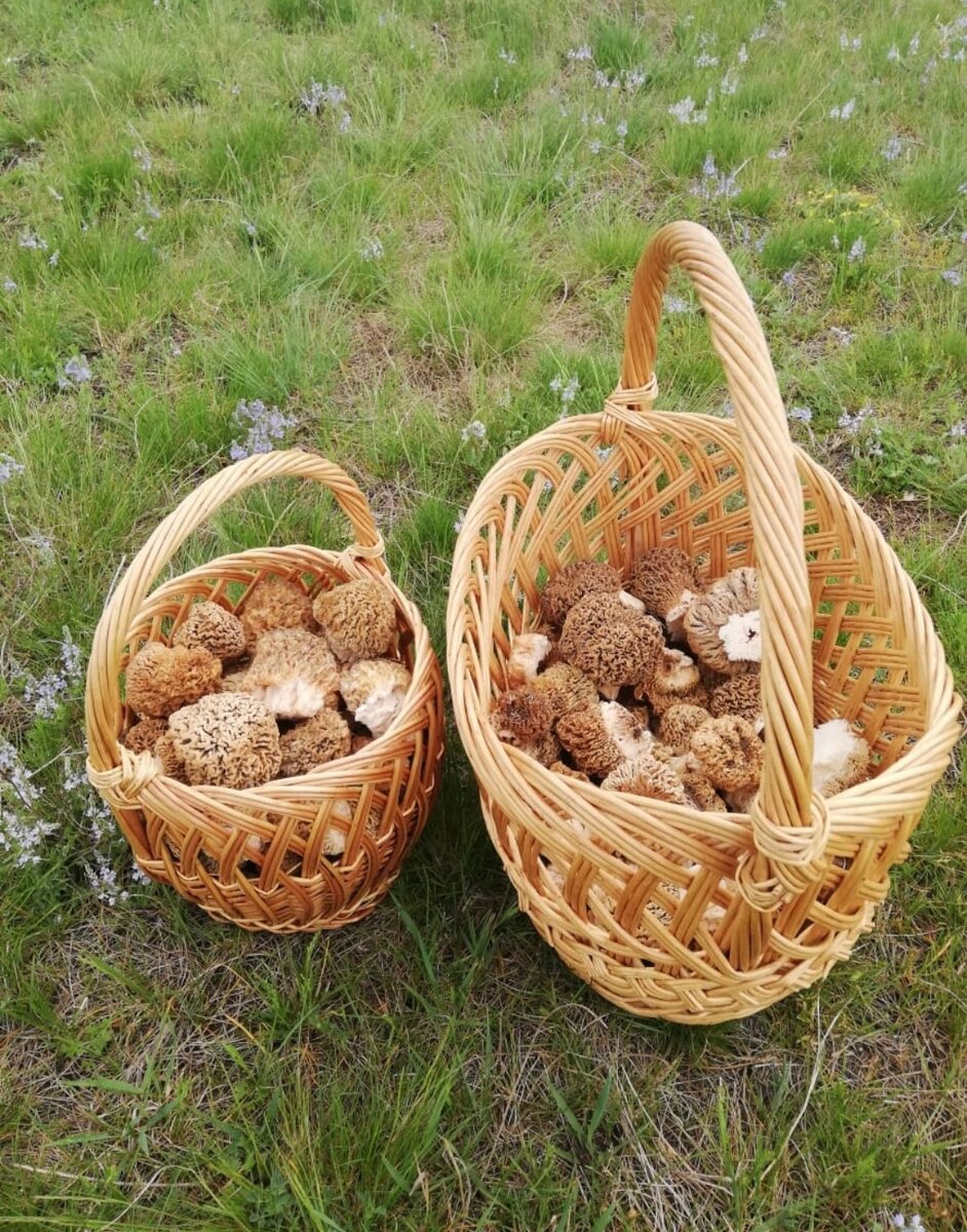 Фото Кауновой Ольги и Зобовой Екатерины