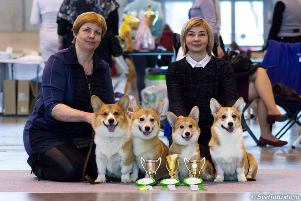 Светлана со своим "выводком"