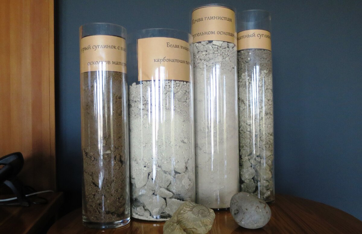 Почвы Золотой Балки, Севастополь