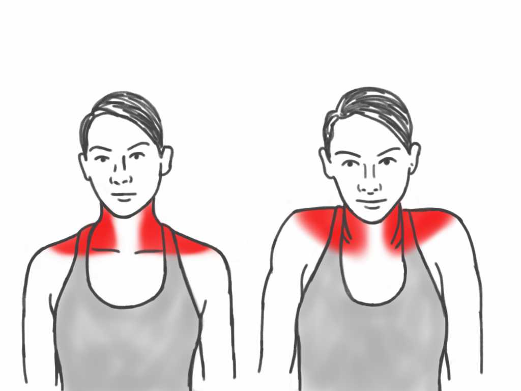 Напряжение в правом. Упражнения для шеи. Упражнения для шеи и плечей. Разминка мышц шеи и плеч.