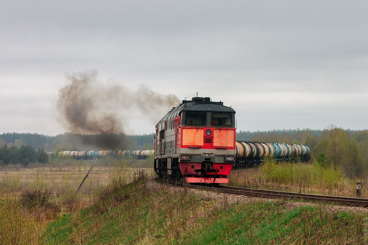 Транзитный грузовой поезд с тепловозом серии 2ТЭ116 на Бологое-Полоцкой дороге (участок Бологое-Великие Луки) в районе посёлка Пено. Фото: Денис Доронин