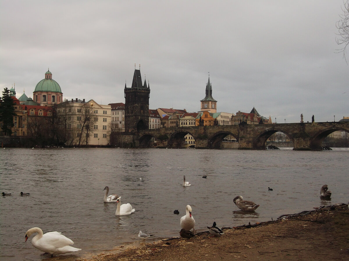 Карлов мост (фото из личного архива)