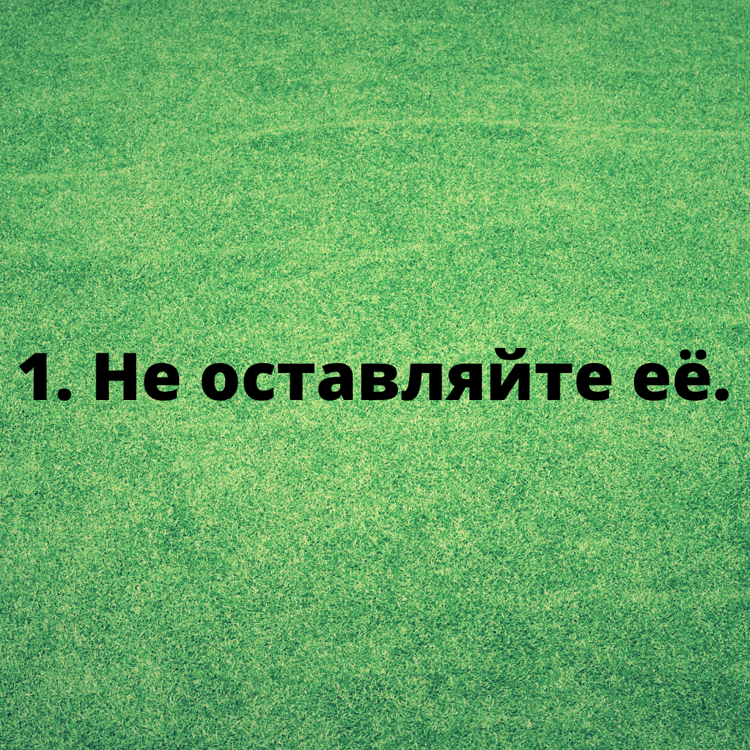 Пять правил на пути к счастью со своей любимой.