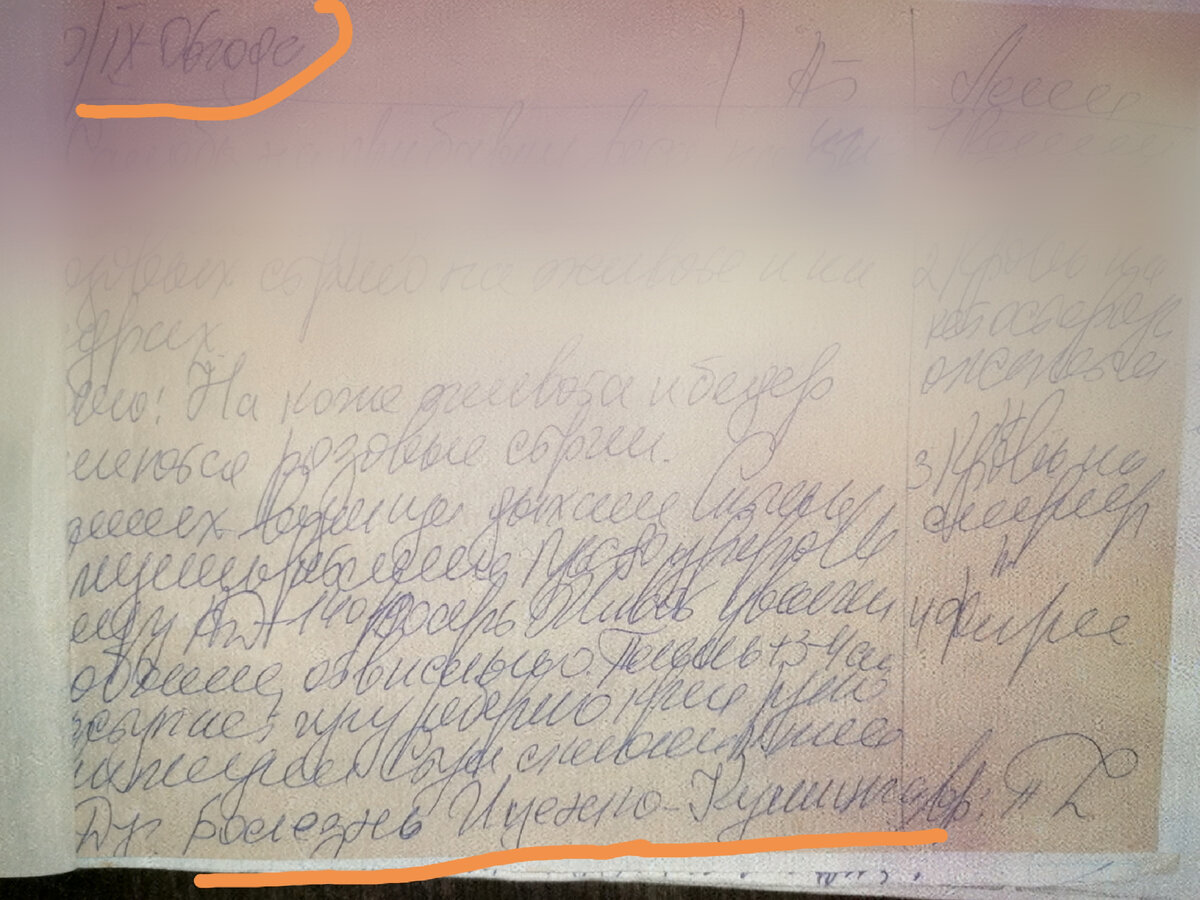 2006 год, мне 20 лет