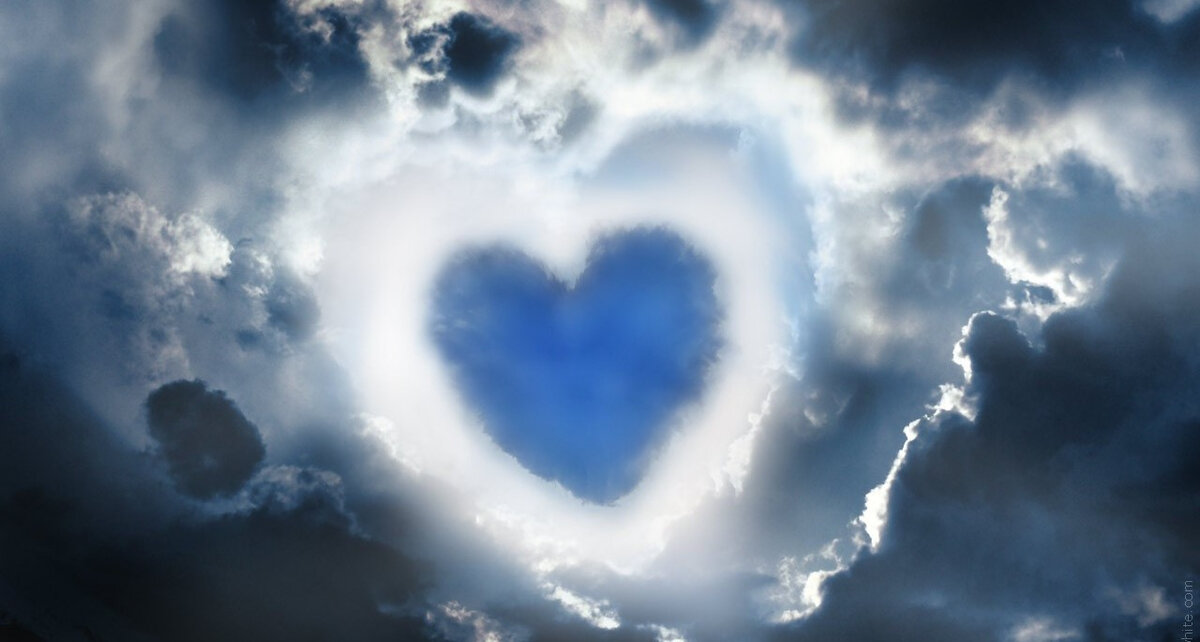 Фото из Яндекс Картинки