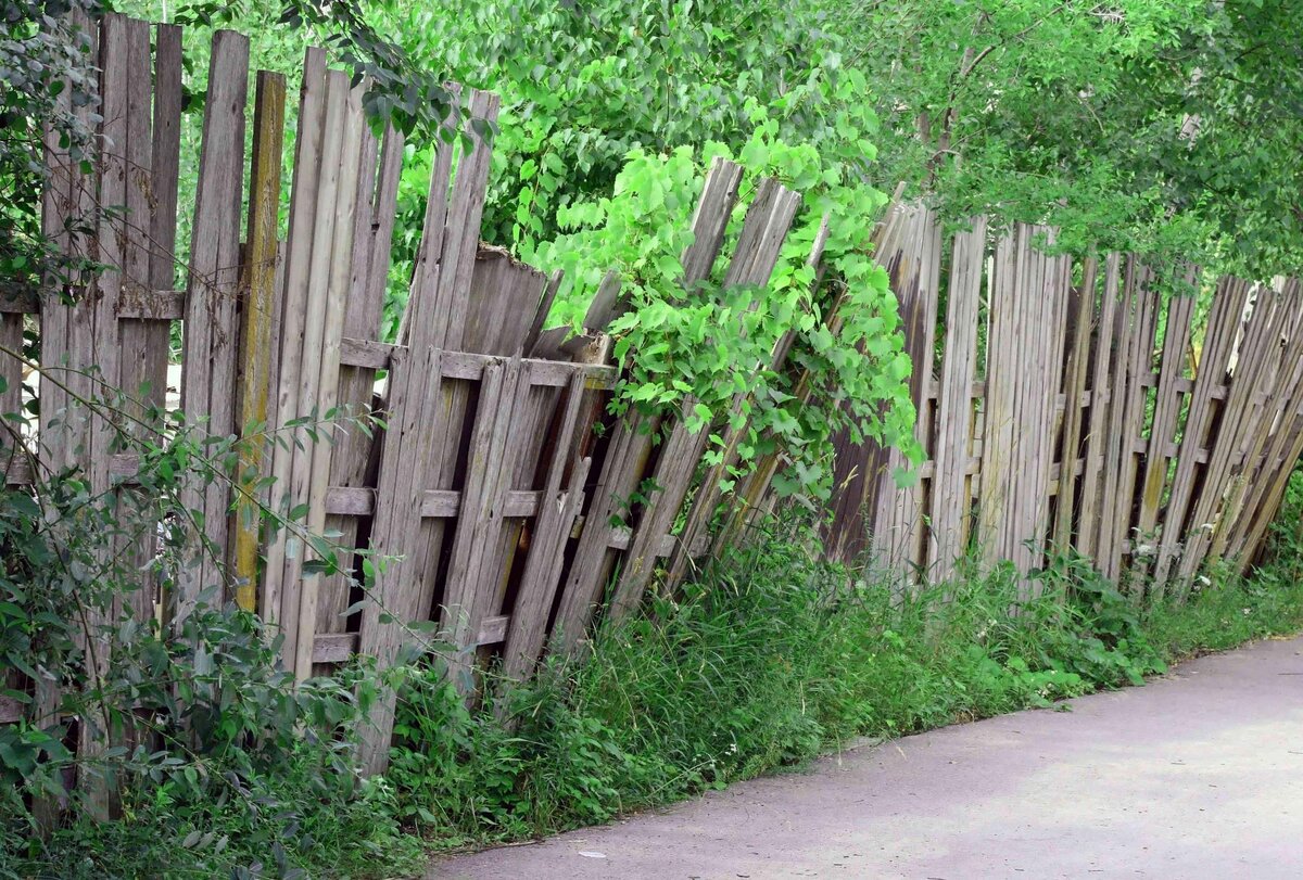 Дешевый забор для дачи из чего сделать (65 фото)