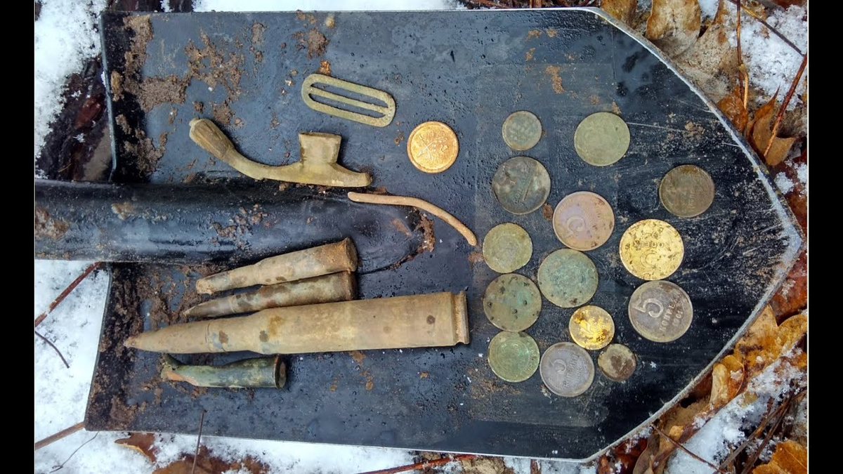 Монеты найденные в лесу. Находки с металлоискателем в лесу. Клад в лесу. Находки монет в лесу. Находки по старине.