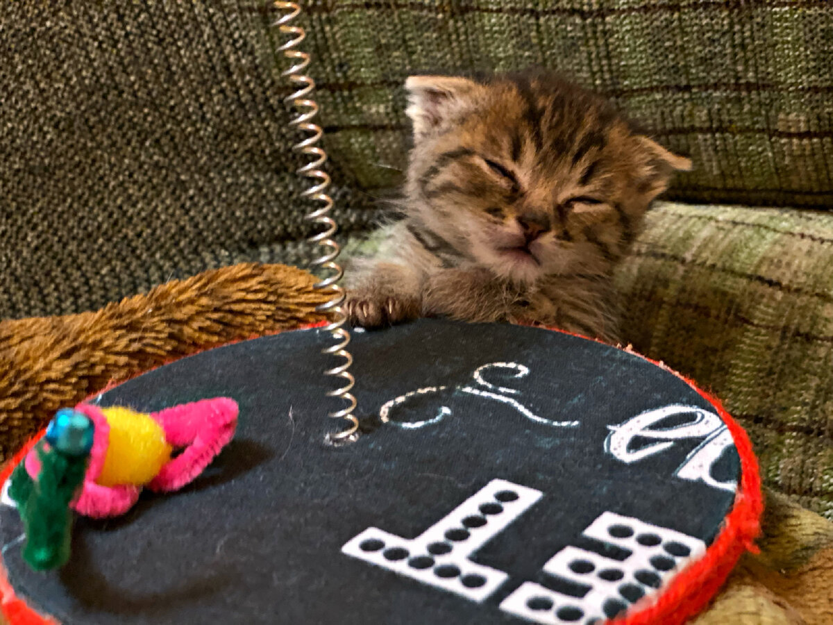 В тот день у Курской помойки остановилась машина. Из нее вышел мужчина с мусорным пакетом.-12