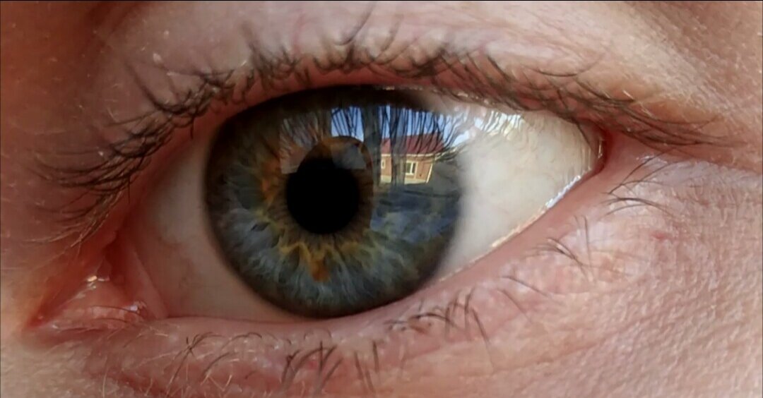 Мой взгляд. Фото 2018 год. Марк Мессинг.