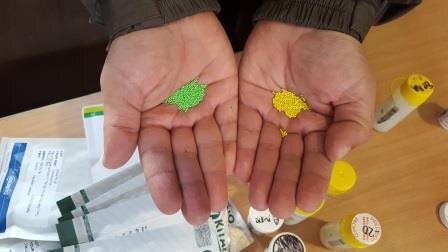 Дражированные семена петунии