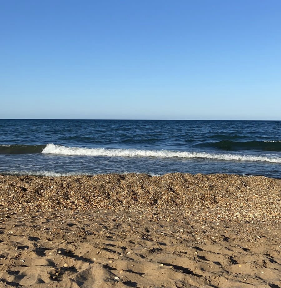 Каспийское море сейчас