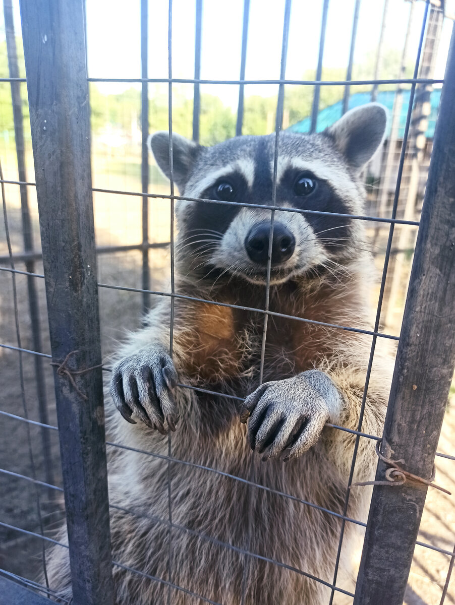 Из личного архива.