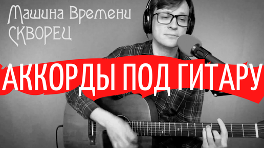 СКВОРЕЦ - МАШИНА ВРЕМЕНИ аккорды 🎸 cover табы как играть на гитаре