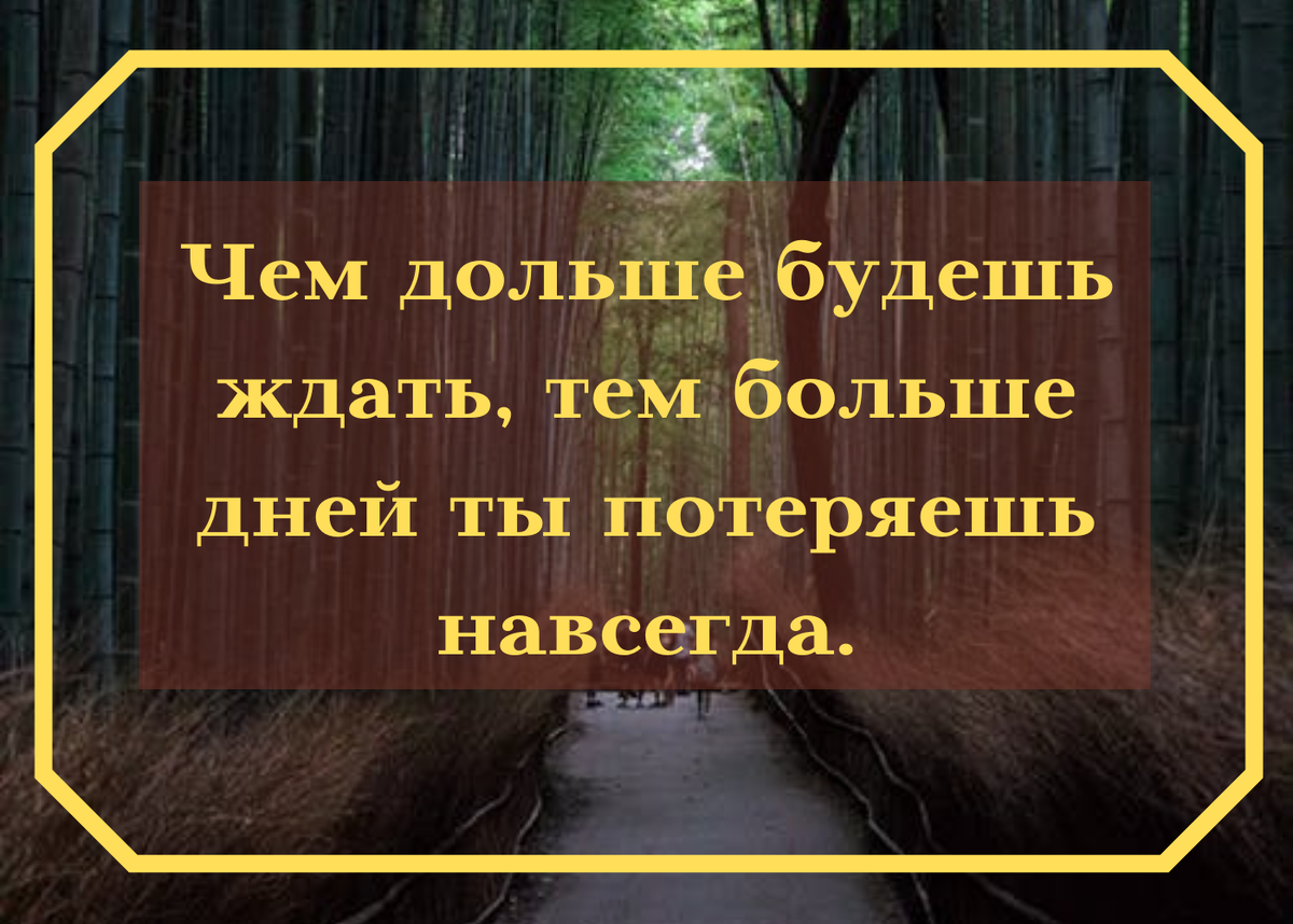 Нет неподходящего времени. Есть только люди, которые не хотят пробовать  снова и снова, пока не получат результат | Только то, что волнует | Дзен