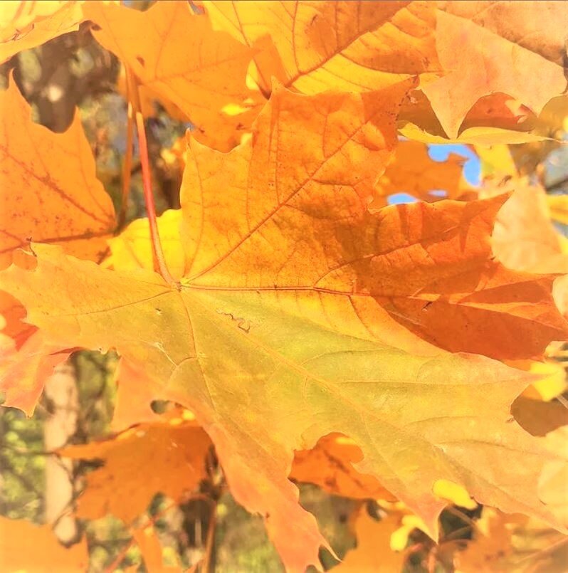 Как призрачно все.