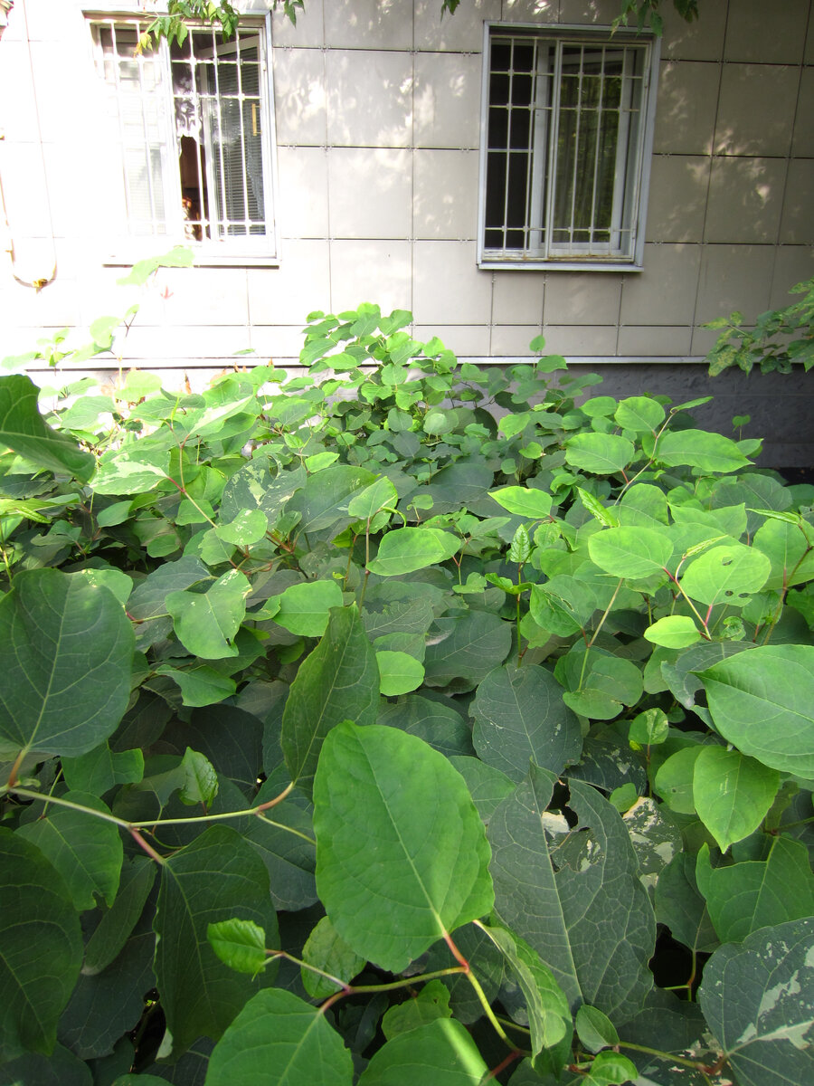 Ничего странного не замечаете? Приглядитесь получше!