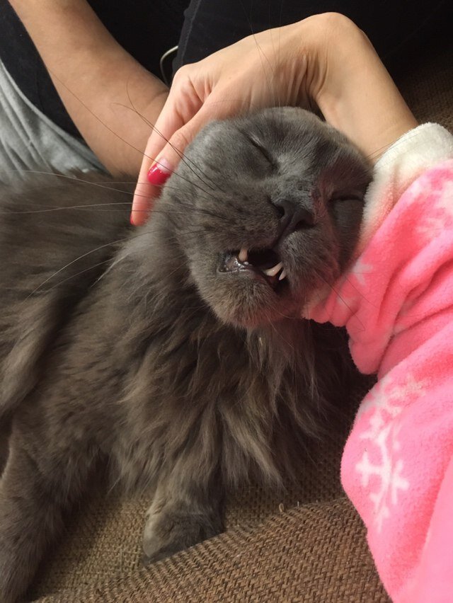 Фото из личного архива.