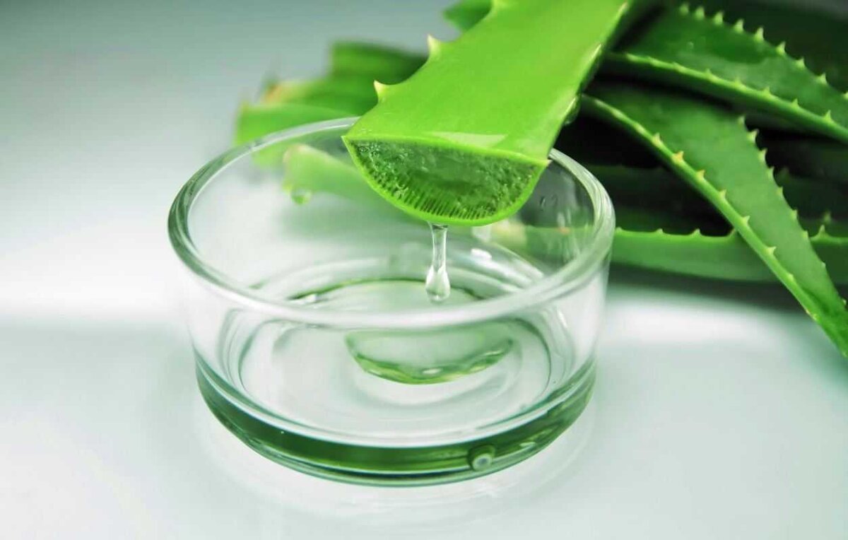 Фото взято из источника Яндекс.Картинки 