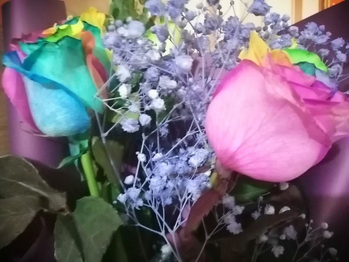 букет вот таких разноцветных роз мне подарили