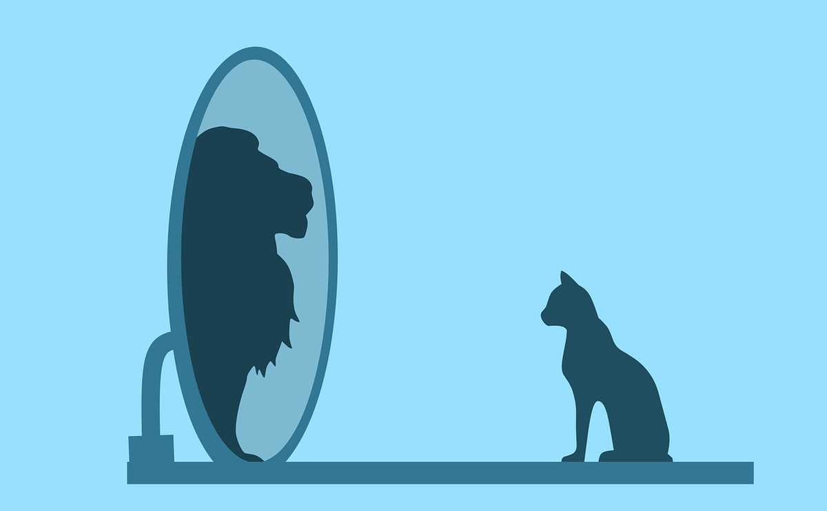 Наивный кот думает, что он лев (Источник: pixabay.com)