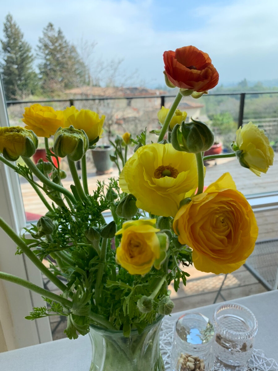 Любовь к цветам — тоже прекрасная вещь. 