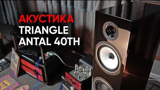 Акустическая система Triangle Antal 40th и как ее правильно слушать