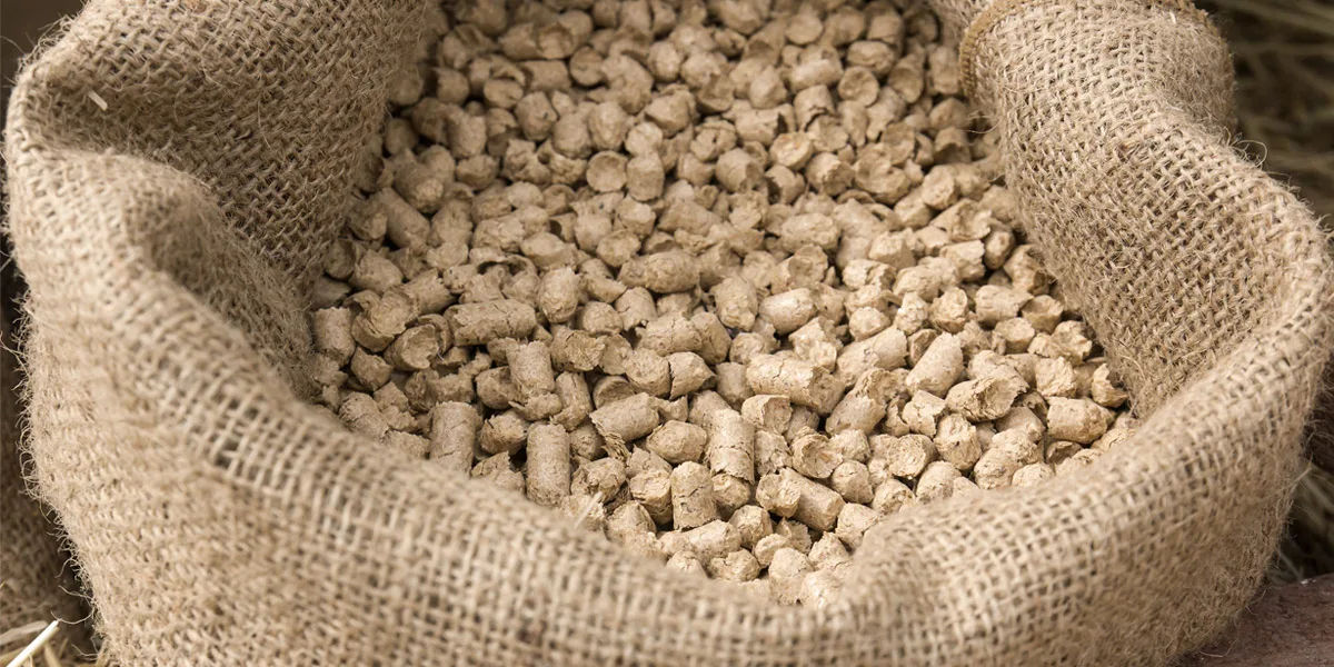 Запрет на ввоз корма для животных 2021. Россельхознадзор корма для животных. Запретили ввоз кормов для кошек. Запрет на ввоз корма для кошек. Запрет на ввоз кормов для животных.