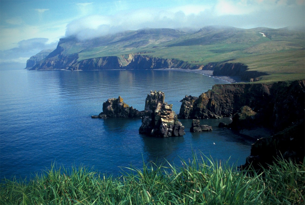 Камчатка Берингово море
