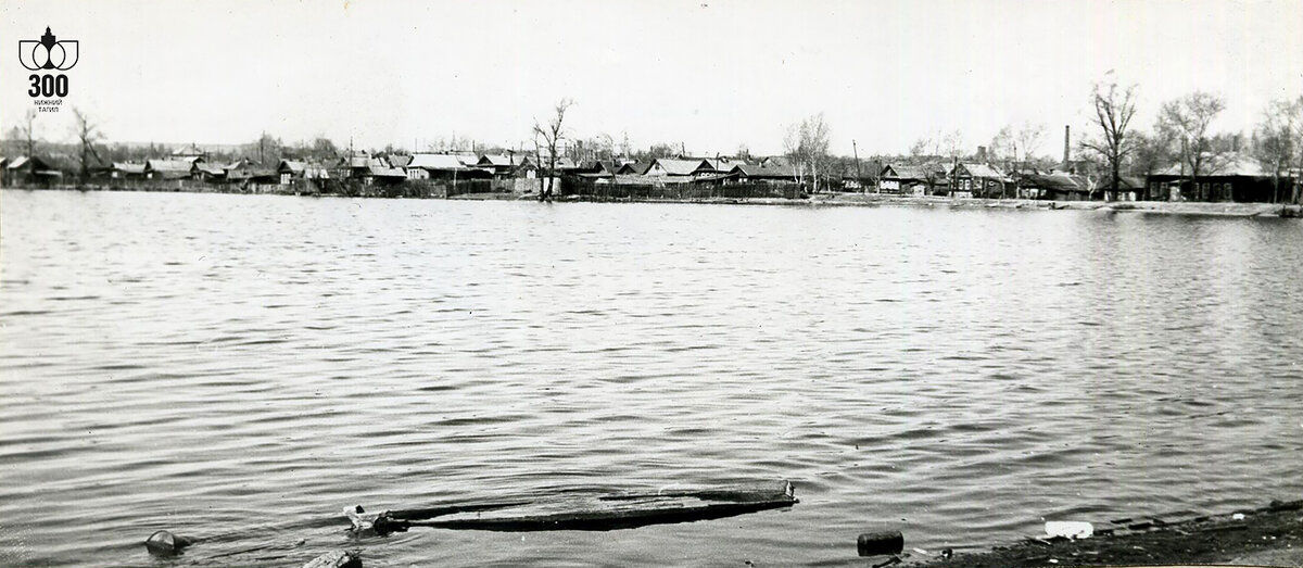 Выйский пруд,  1985 г.