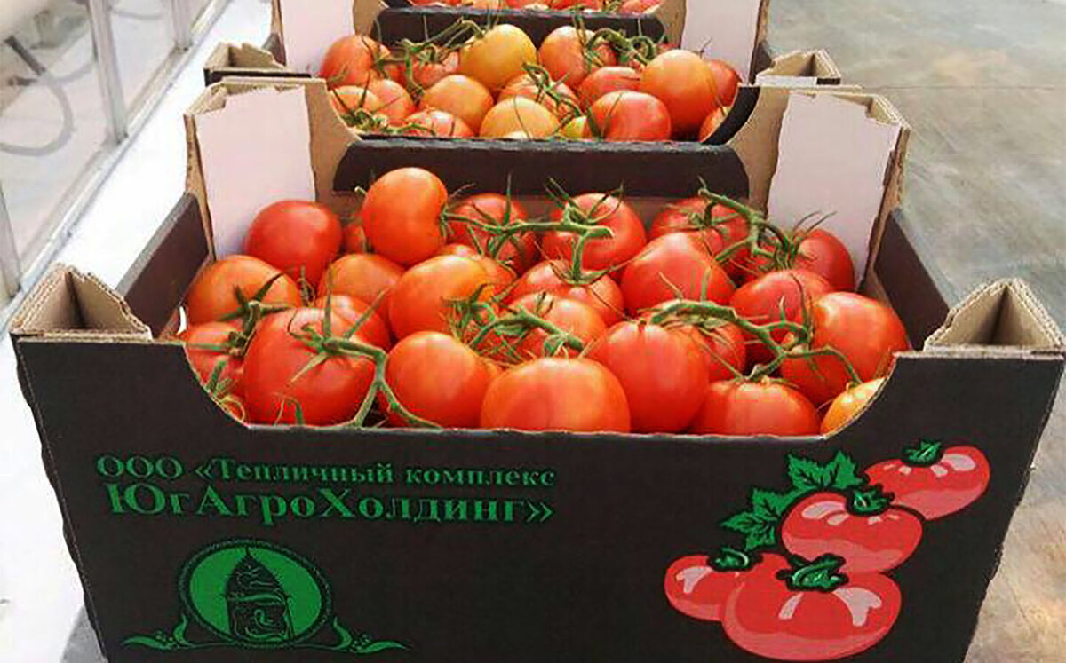  Фото: ygagroholding.com